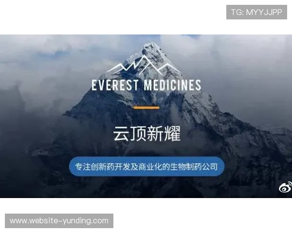 云顶新耀官网下载官方正版，确保游戏正版授权避免盗版风险