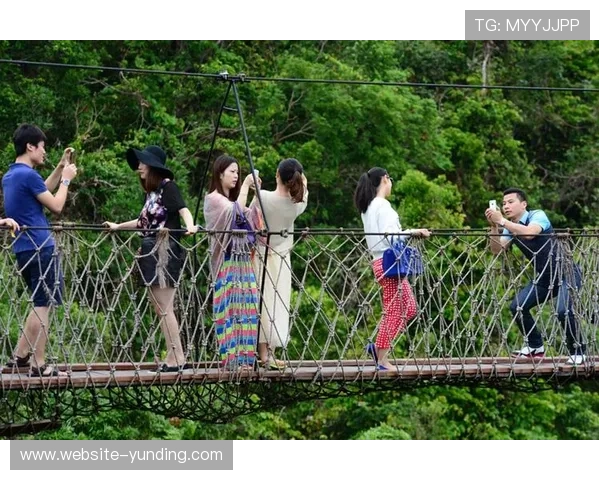 云顶赌场马来西亚最新攻略与优惠活动全面解析助你轻松赢取大奖