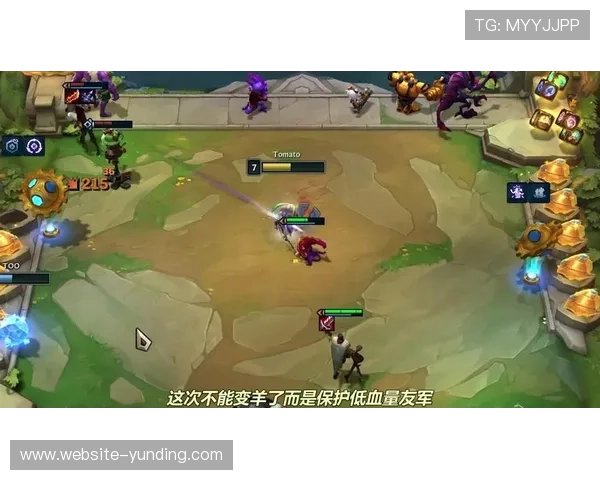 2021云顶攻略详细教程带你了解英雄选择与装备搭配的最佳方案